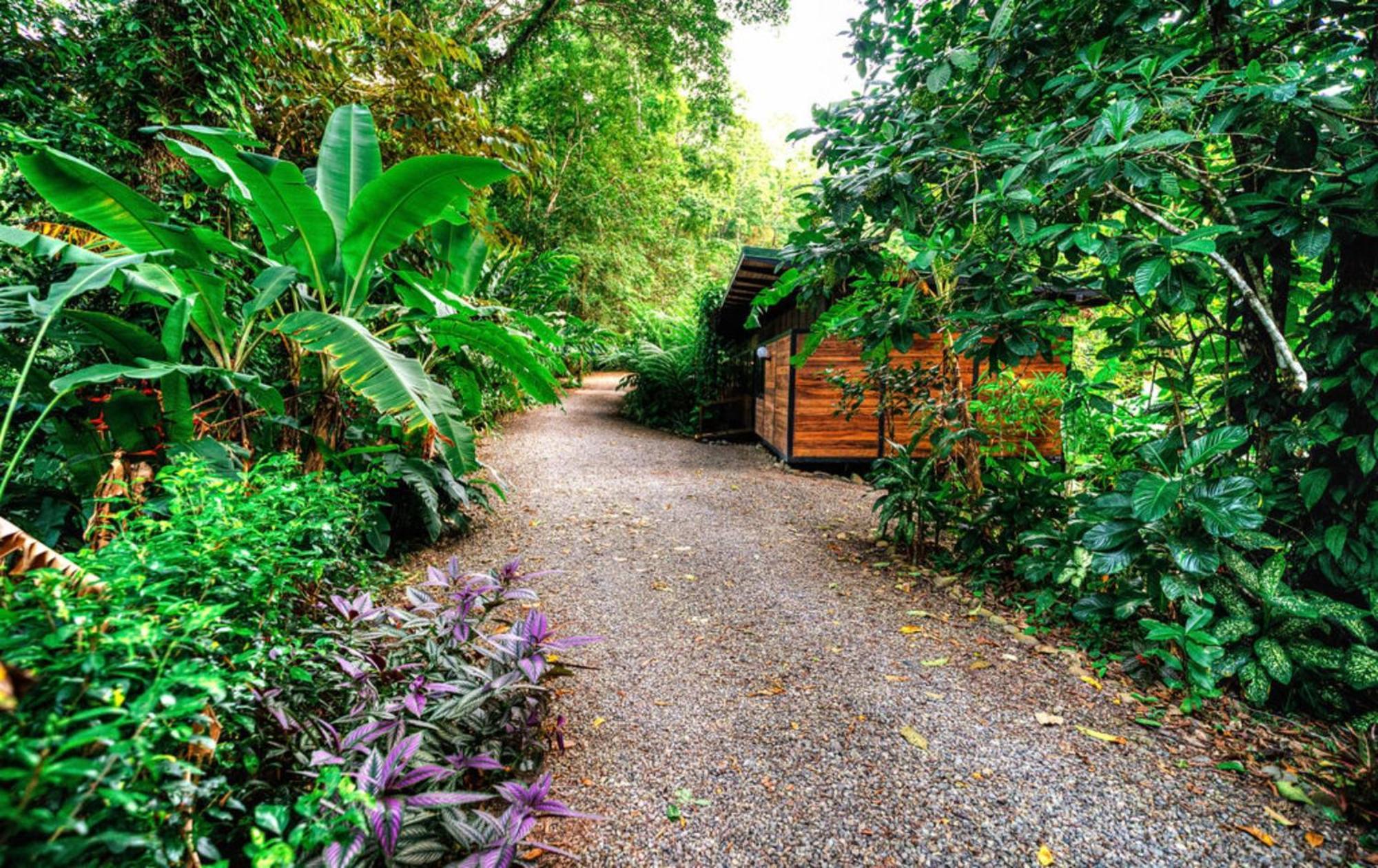 La Shamana - Ecological Concept In Jungle Villa Cahuita Exterior photo